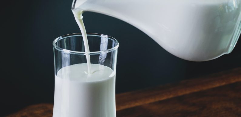 Dlaczego warto pić mleko owsiane marki Inka