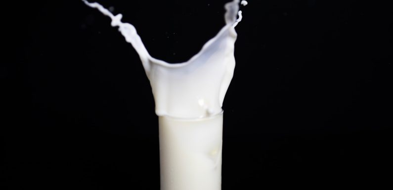 Mleko owsiane – dla kogo